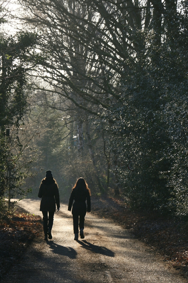 Two people walking in the forest