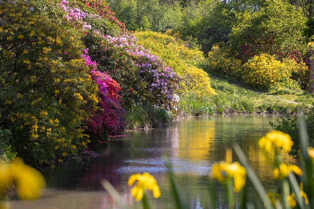 Gardens at Leonardslee